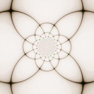 "Petal View" Painting Print on Wrapped Canvas