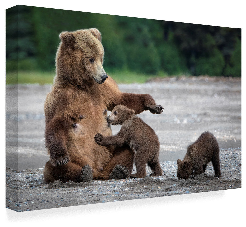 Renee Doyle 'A Mothers Love Bears' Canvas Art, 19"x12"