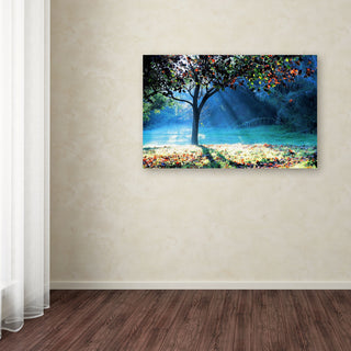 'Rays of Hope' Canvas Art by Beata Czyzowska Young