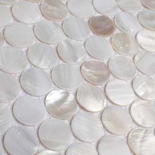 Conchella Mini Penny White Natural Shell Wall Tile