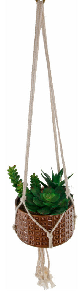 4.5" Faux Succulents Garden Macrame Brown Hanging Ceramic Planter