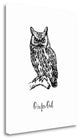 "O Is For Owl" By Tara Moss, Giclee Print on Gallery Wrap Canvas, Ready to Hang