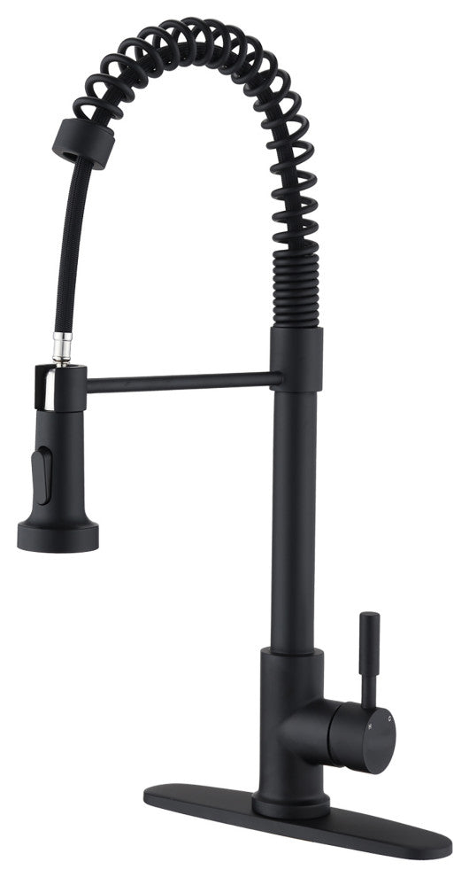 Single Handle Deck Mounted Spring Neck Kitchen Faucet with Pull Down Sprayer , M