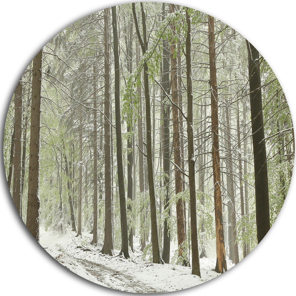 Spring Beech Forest Scenery, Landscape Photo Round Wall Art, 11"