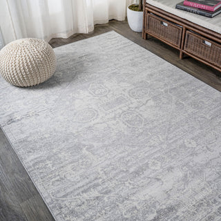 Modern Persian Vintage Medallion Light Gray 3'x5' Area Rug