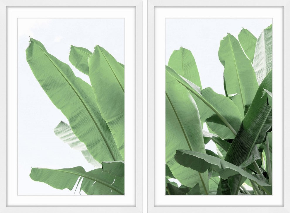 Palm Bay Diptych, 32x24