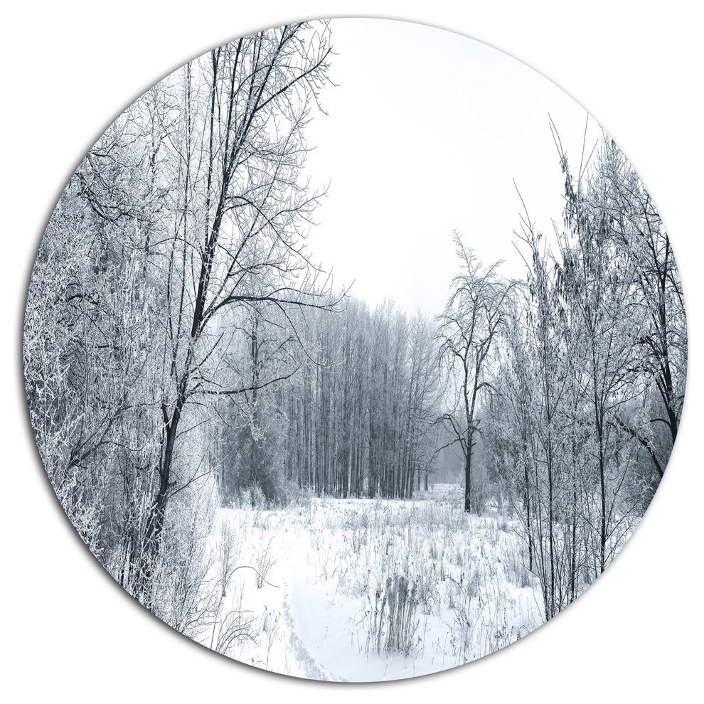Beautiful Winter Panorama, Landscape Large Disc Metal Wall Art, 23"