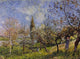 Alfred Sisley Orchard in Spring, By, 21"x28" Wall Decal Print