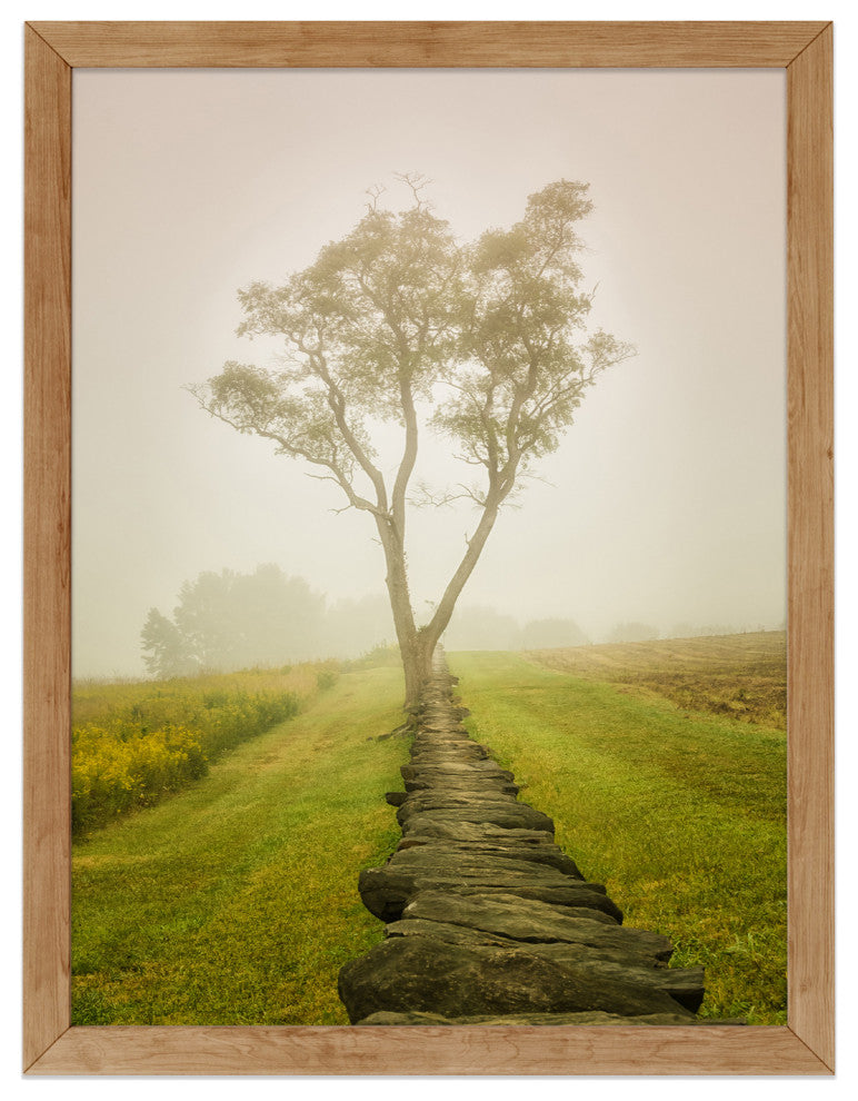 Calming Morning Rural Landscape Framed Photo Paper Wall Art Prints, Red Oak, 16" X 20"