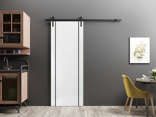 Sturdy Barn Door 42 x 96 | Planum 0016 White Silk with  | 8FT