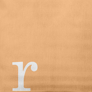18" x 18" Modern Monogram Indoor/Outdoor Polyester Throw Pillow, Pale Gold