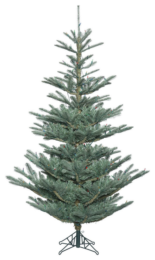 6' X 48" Alberta Blue Spruce 616T