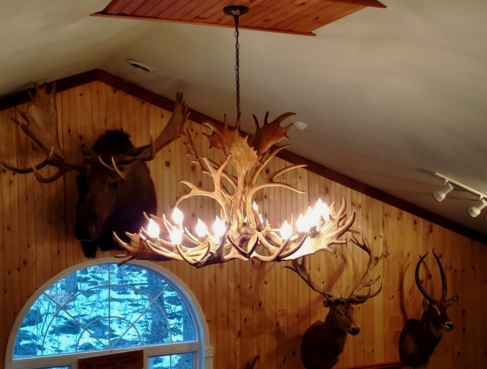 Reproduction Antler Single Tier Fallow, Mule Deer Chandelier Light, RL-22