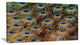 Peacock Bird Tail Feathers in Close Up, Animal Canvas Art Print, 32"x16"