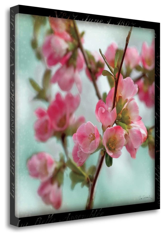 "Quince Blossoms II" By Sue Schlabach, Giclee Print on Gallery Wrap Canvas
