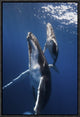 "Back To The Surface" Framed Canvas Giclee by Barathieu Gabriel, 13x19"