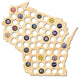 Wisconsin Beer Cap Map