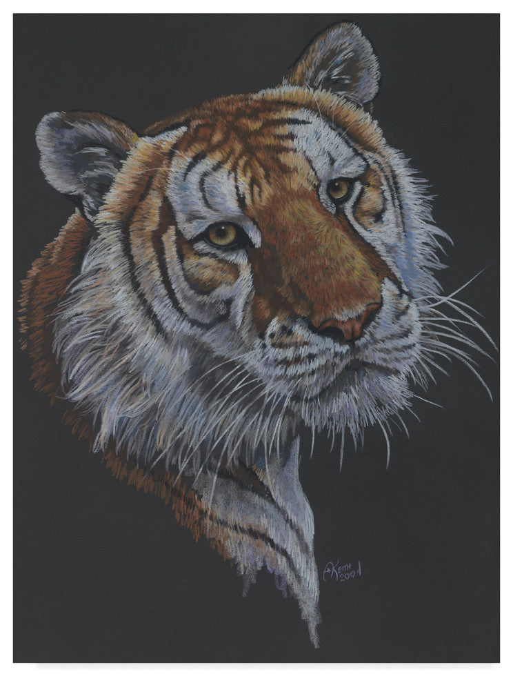 "Shere Khan" by Barbara Keith, Canvas Art