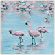 "Three Flamingos" Floater Framed Painting Print on Canvas, 48"x48"