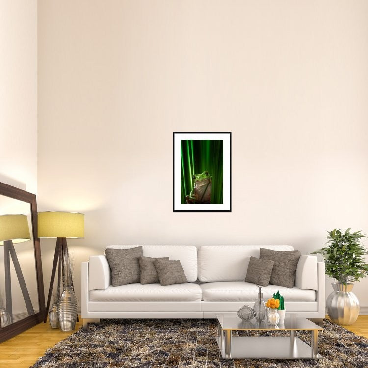 "Green Frog" Framed Digital Print by Ahmad Gafuri, 28"x38"