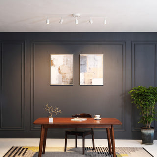 Vidalite Shura 5 Head LED Flush Mount FIxed Track Light, White