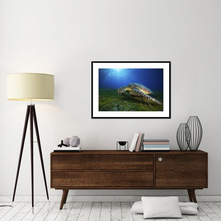 "Green Turtle" Framed Digital Print by Barathieu Gabriel, 44x32"