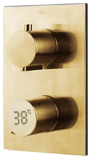 22" Brushed Gold Digital Wall Mount Rainfall Shower System, LED