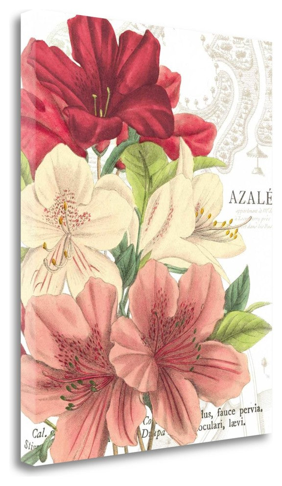 "Azalee Jardin II" By Wild Apple Portfolio, Giclee Print on Gallery Wrap Canvas