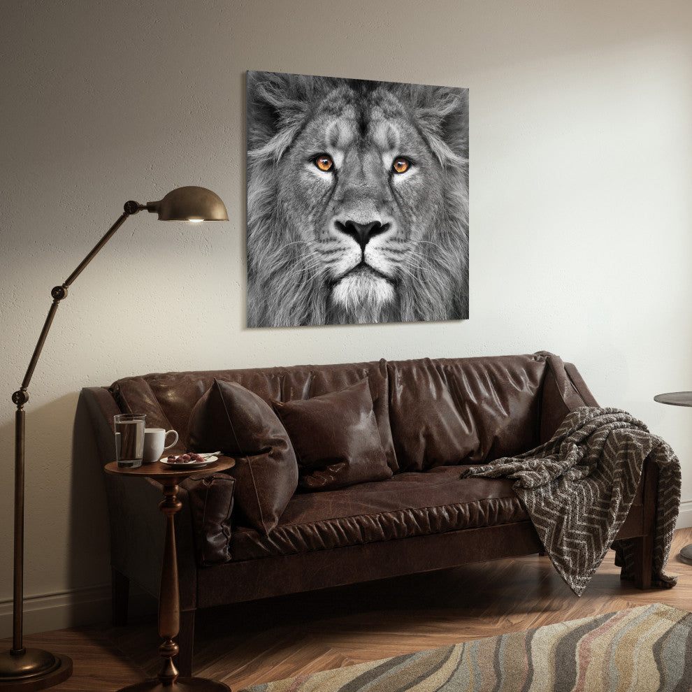 "King of the Jungle" Lion Wall Art Unframed Free Floating Tempered Glass 38 x 38