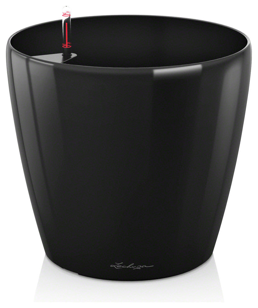 Classico Premium 43, Black