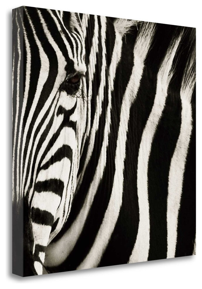 "Camouflage I" By Susann Parker, Giclee Print on Gallery Wrap Canvas