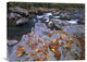 "Little Pigeon River, Great Smoky Mountains National Park, Tennessee" Artwork