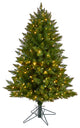 4' Vermont Spruce Artificial Christmas Tree With 200 Color Changing LED Lights