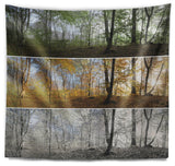 Three Seasons Forest Panorama Landscape Wall Tapestry, 60"x50"
