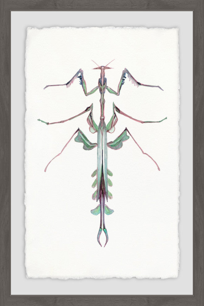 "Leafy Bug" Framed Painting Print, 20"x30"