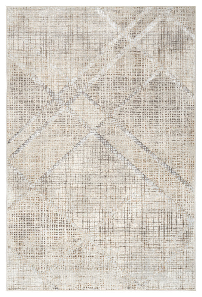 Nourison  Iliana 3'11"x5'11" Gray Modern Indoor Area Rug