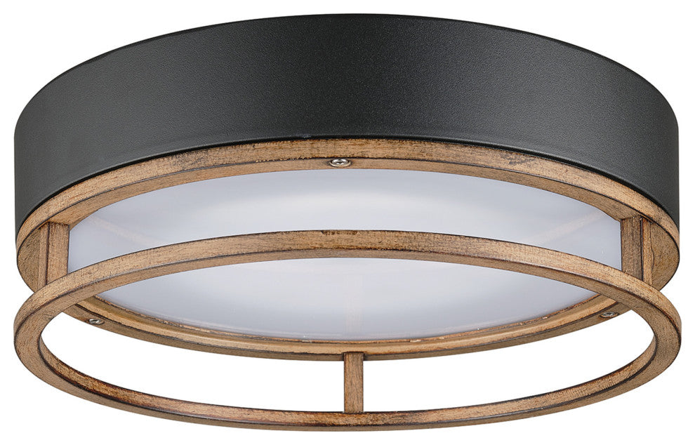 Ray Black 18.5W Flush Mount Ceiling Light