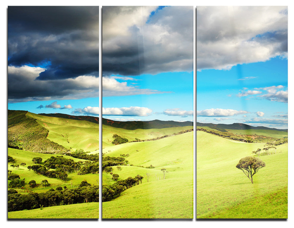 "Pasture Under Cloudy Sky" Photo Metal Wall Art, 3 Panels, 36"x28"