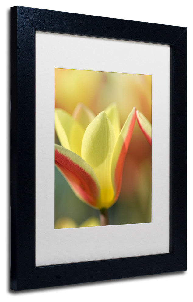 Cora Niele ''Tulip Tinka'' Matted Framed Art