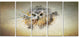 Large Gracing Owl, Animal Canvas Wall Art, 60"x28", 5 Panels