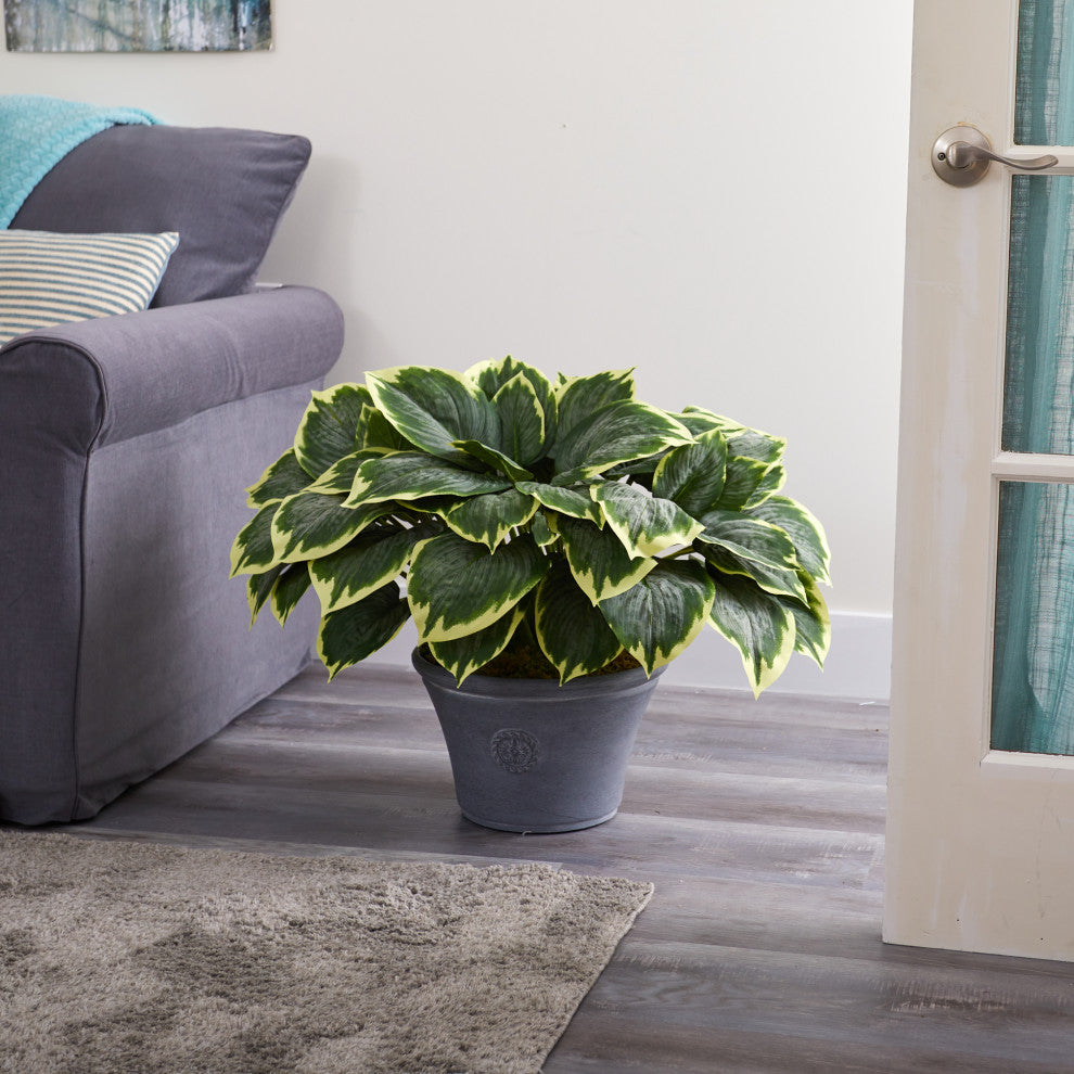 23" Variegated Hosta Artificial Plant, Gray Planter