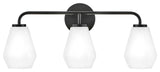 Lark 85503 Gio 3 Light 24"W Vanity Light - Black
