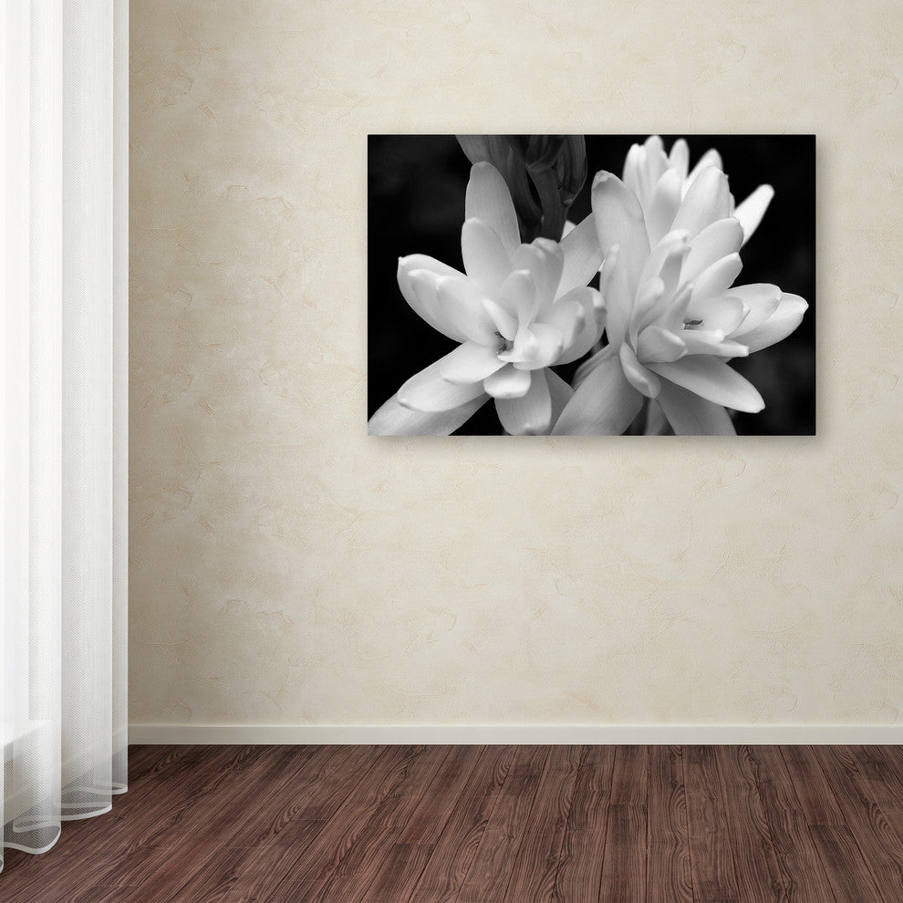 Kurt Shaffer 'Tuber Rose in Black and White' Canvas Art