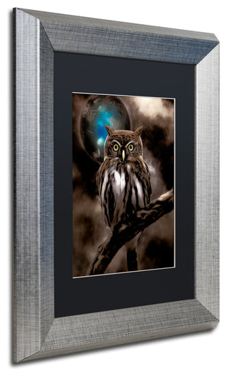 Color Bakery 'Night Owl' Art, Silver Frame, Black Matte, 11"x14"
