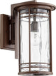 Larson 9" Clear Lantern Outdoor, Oiled Bronze With Clear Hammered Glass