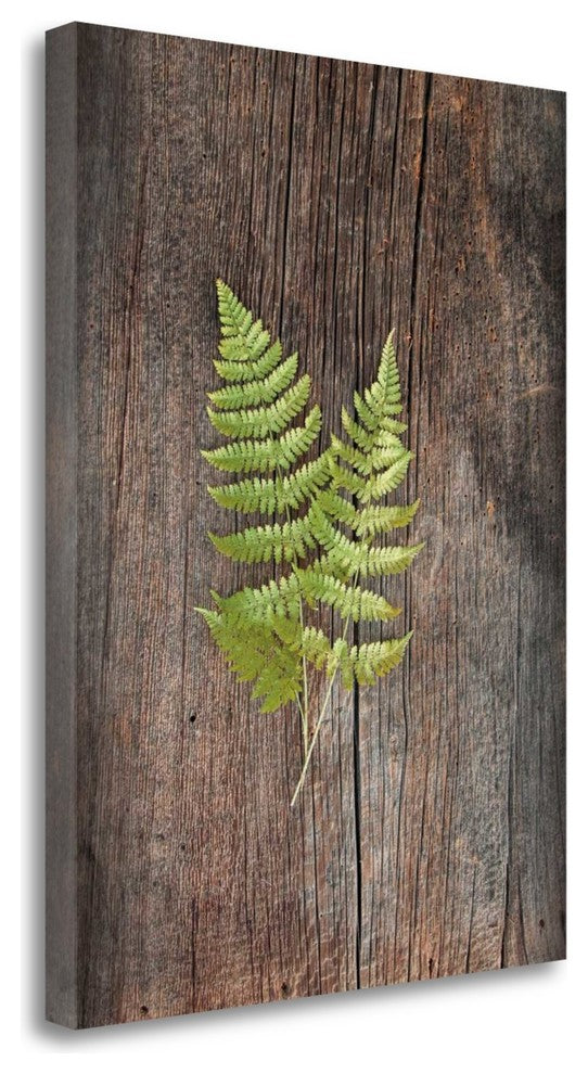 "Woodland Fern II" By Sue Schlabach, Giclee Print on Gallery Wrap Canvas