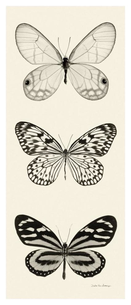 "Butterfly - BW Panel II" Digital Paper Print by Debra Van Swearingen, 26"x62"