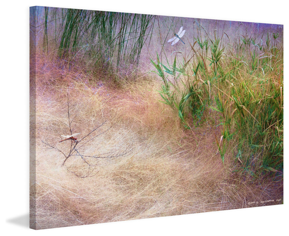 "Muhly Grass Textures" Painting Print on Canvas by Chris Vest