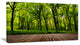 Green Forest with Dense Woods, Landscape Canvas Art Print, 40x20