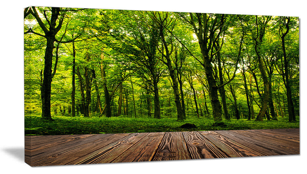 Green Forest with Dense Woods, Landscape Canvas Art Print, 40x20